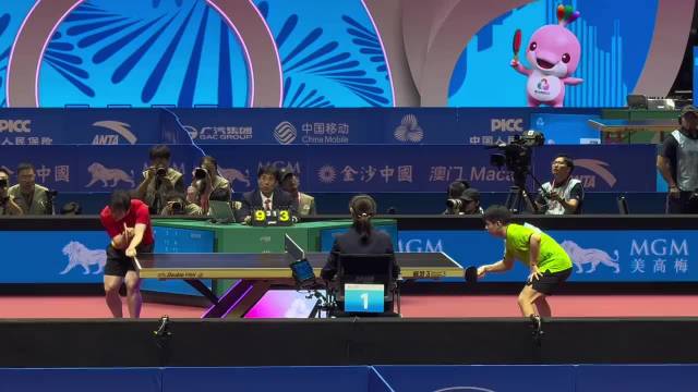 樊振东加盟杜塞多夫总领事亲临观战见证德甲首